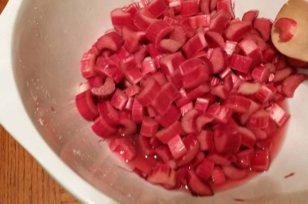 rhubarb in a bowl with juice