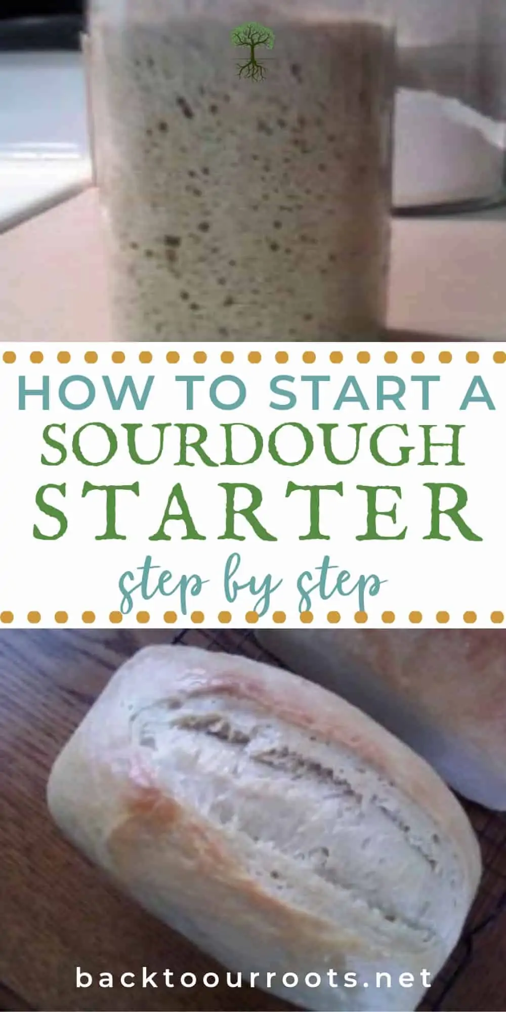 How to Start a Sourdough Starter