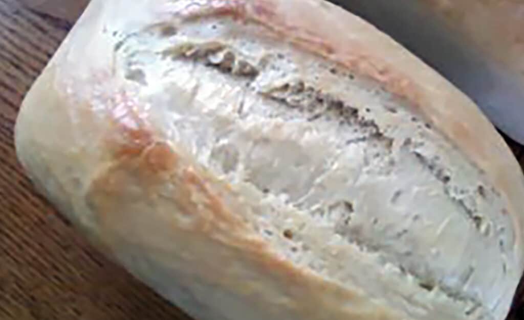 Sourdough 101: Basic Sourdough Bread Recipe