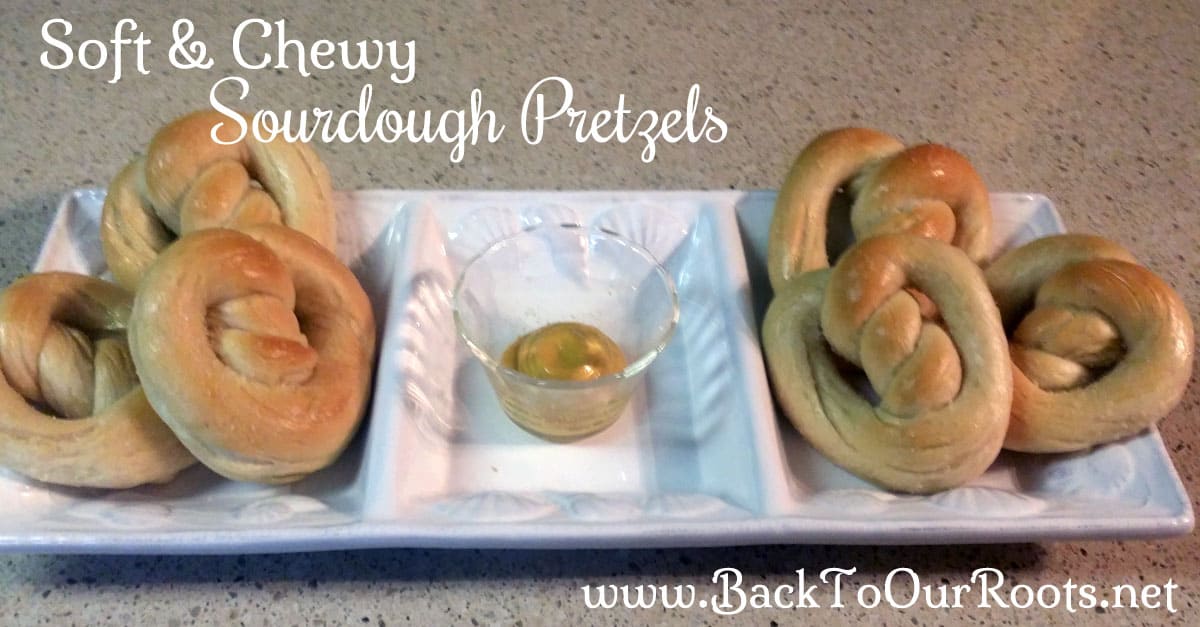Soft & Chewy Baked Sourdough Pretzels Back to Our Roots