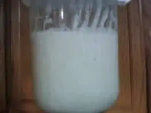 glass jar with sourdough starter