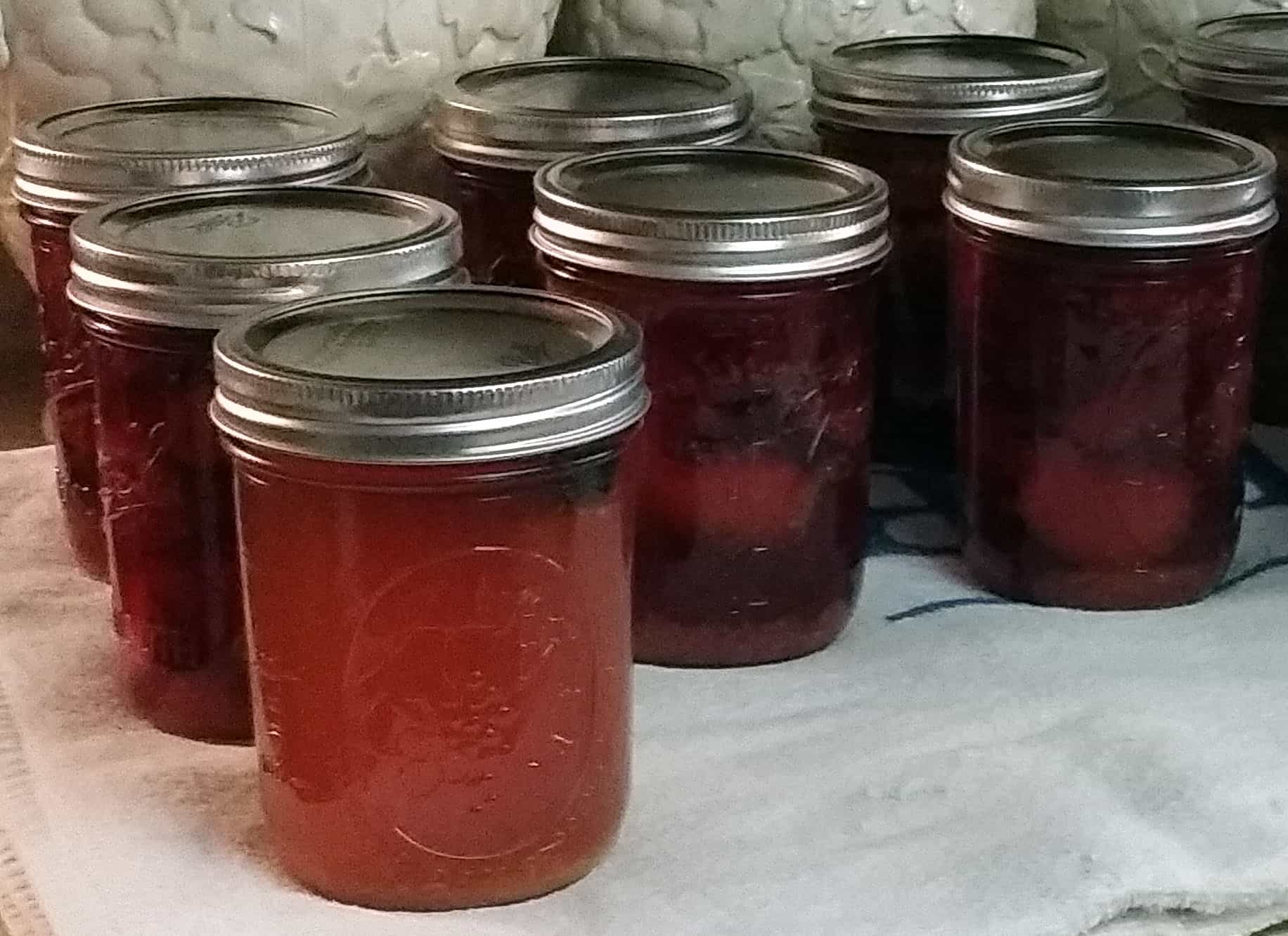 Decadent Spiced Plums {A Canning Recipe}