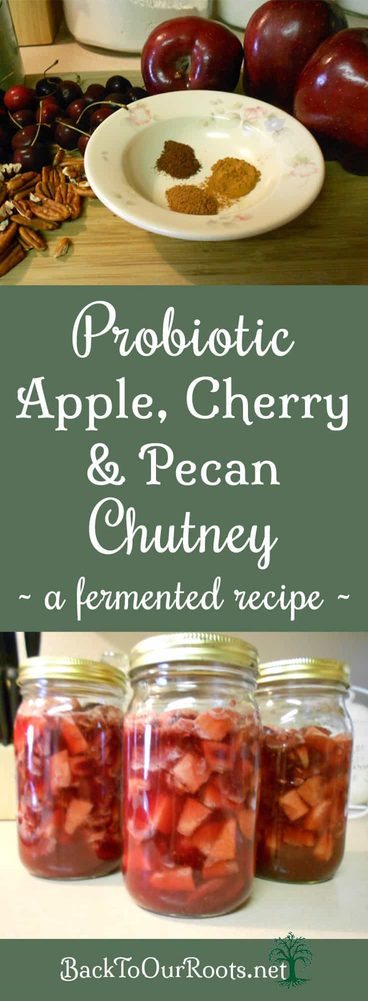 Probiotic Apple Cherry Pecan Chutney