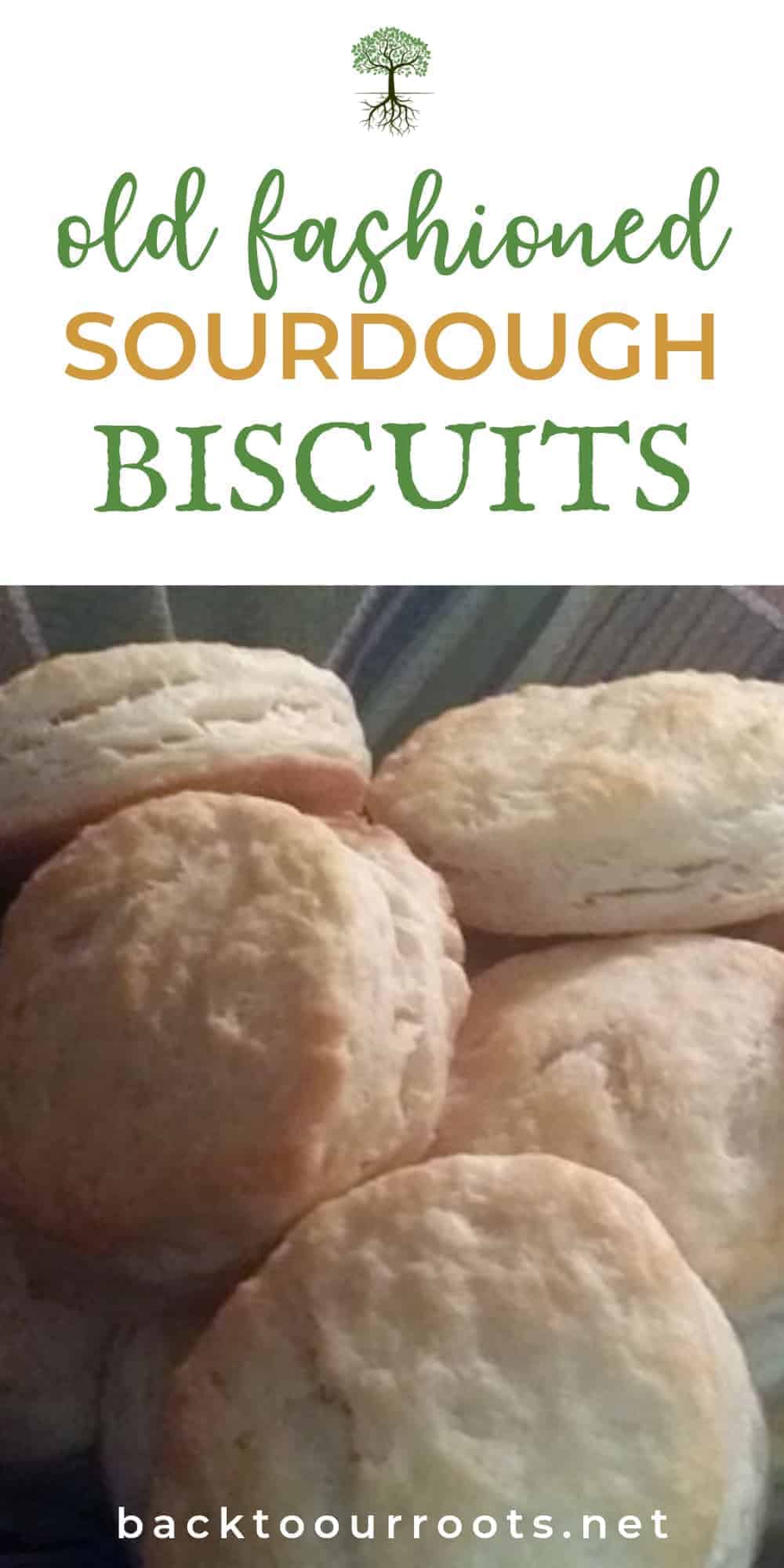 Old Fashioned Sourdough Biscuits