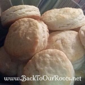 Flaky, Buttery, Old-Fashioned Sourdough Biscuits
