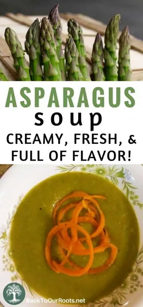 Asparagus Soup ~ Fresh, Healthy, & Full of Flavor