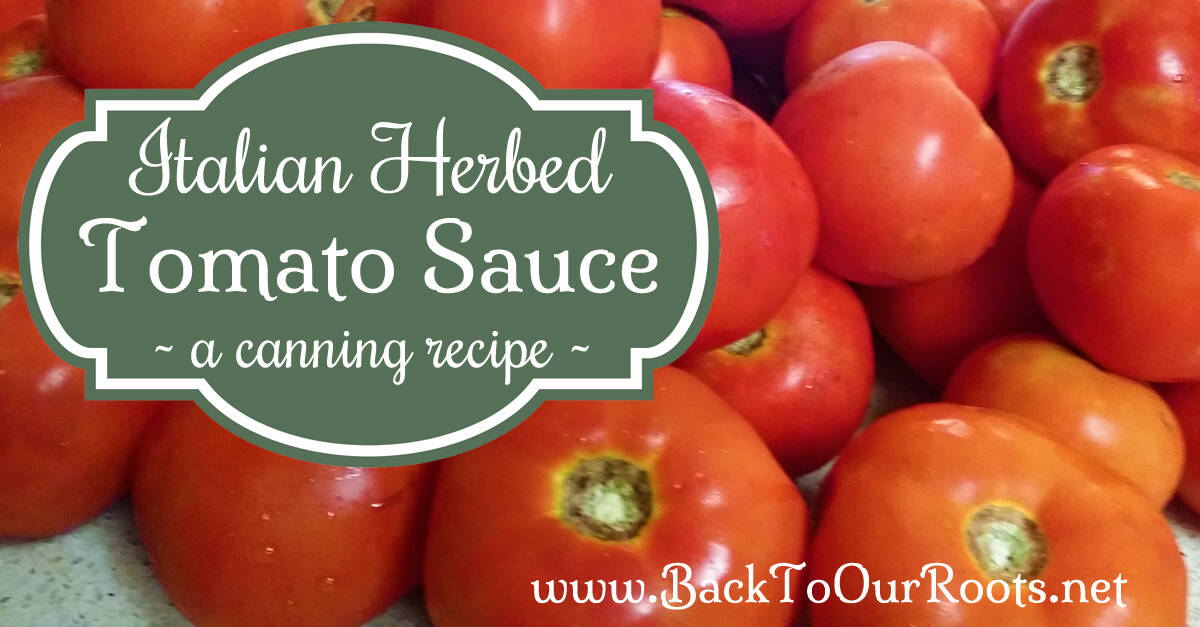Italian Herbed Tomato Sauce A Canning Recipe Back to Our Roots