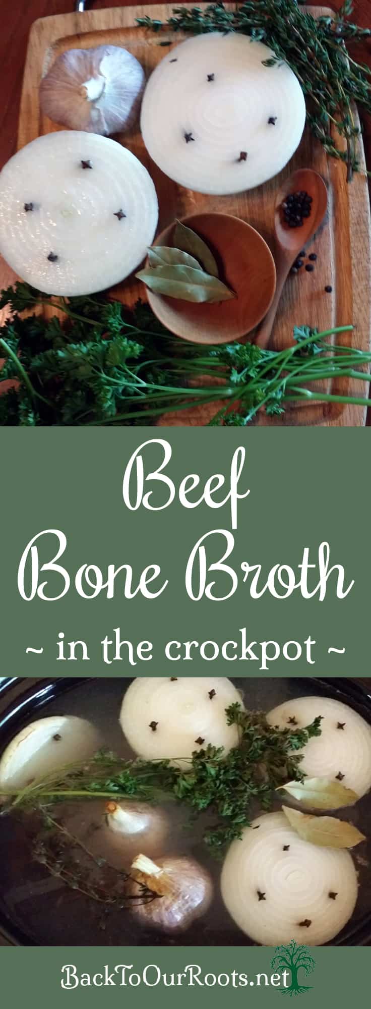 Nourishing Beef Bone Broth to Freeze or Can Back to Our Roots