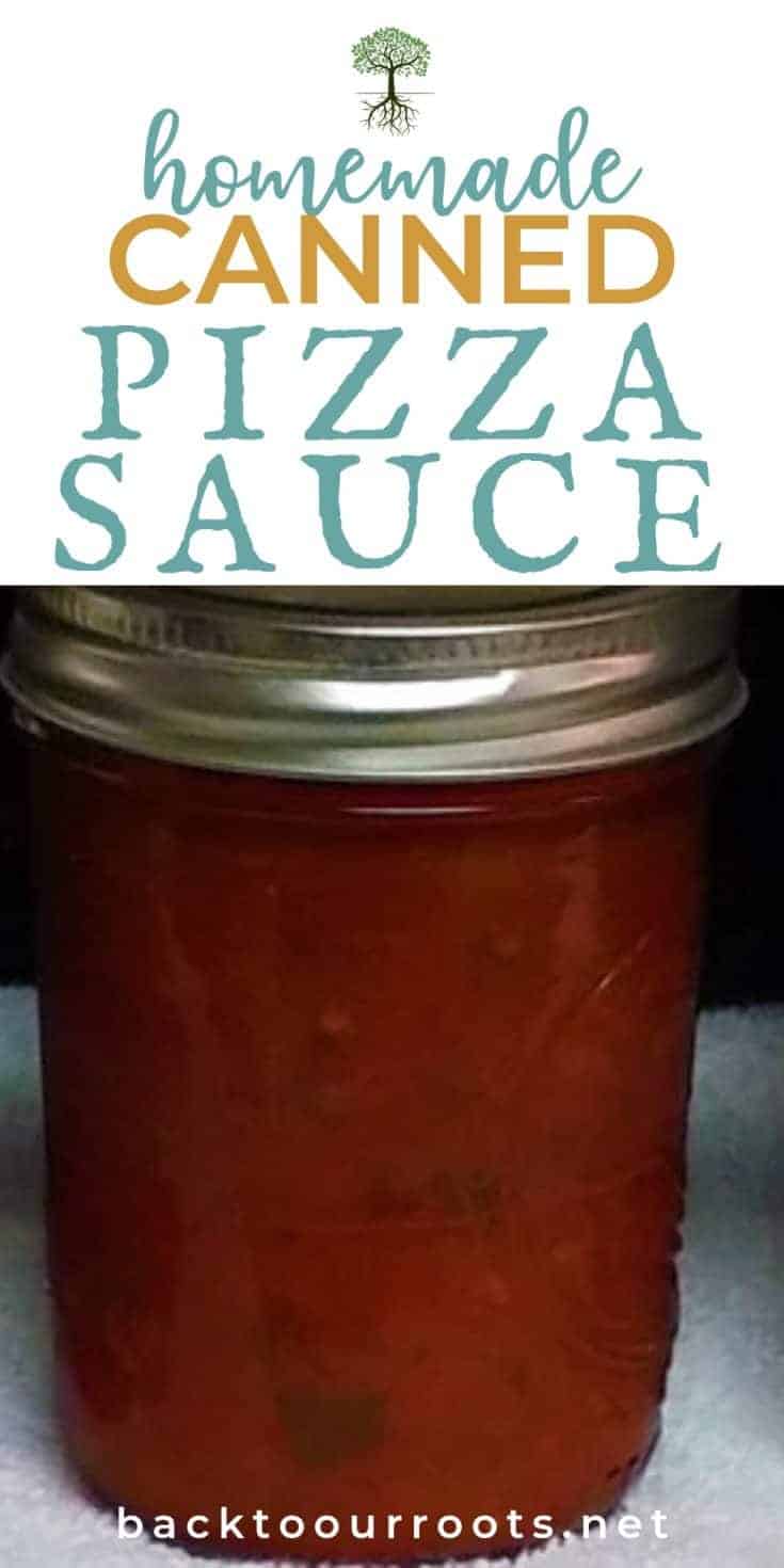 The Best Home Canned Pizza Sauce