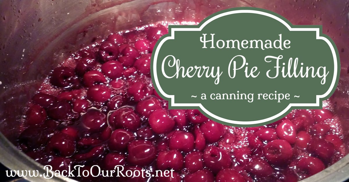 Homemade Cherry Pie Filling A Canning Recipe Back to Our Roots
