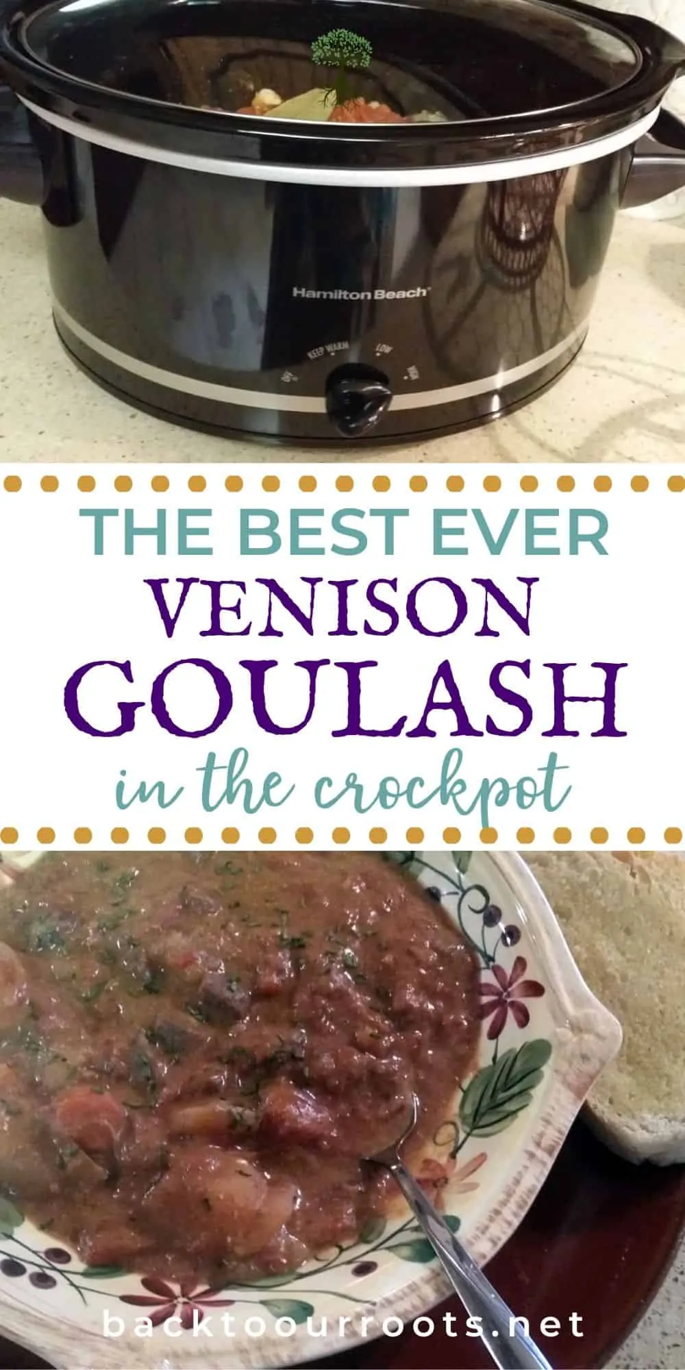 Venison Goulash in a bowl