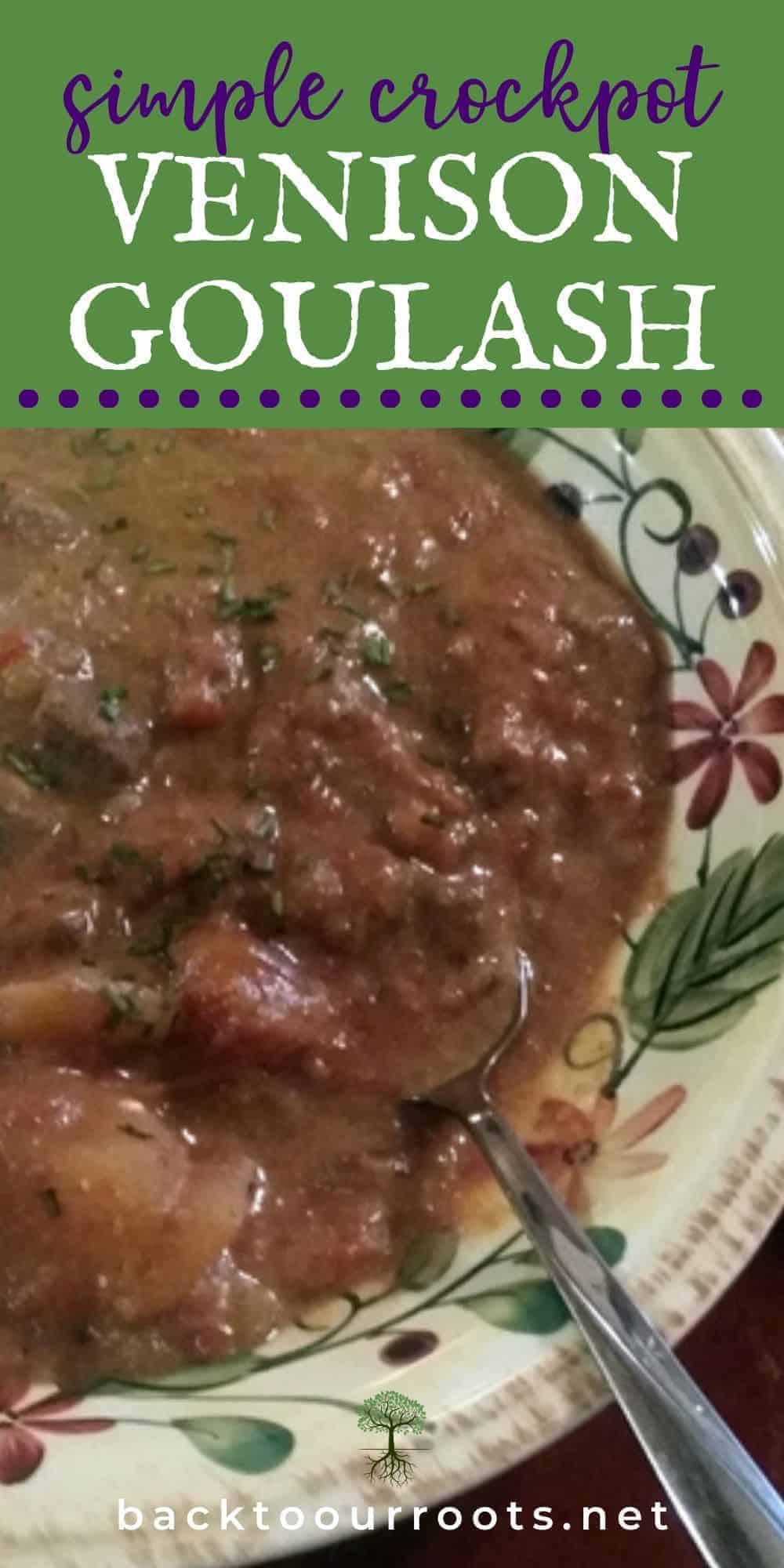 Venison Goulash in a bowl