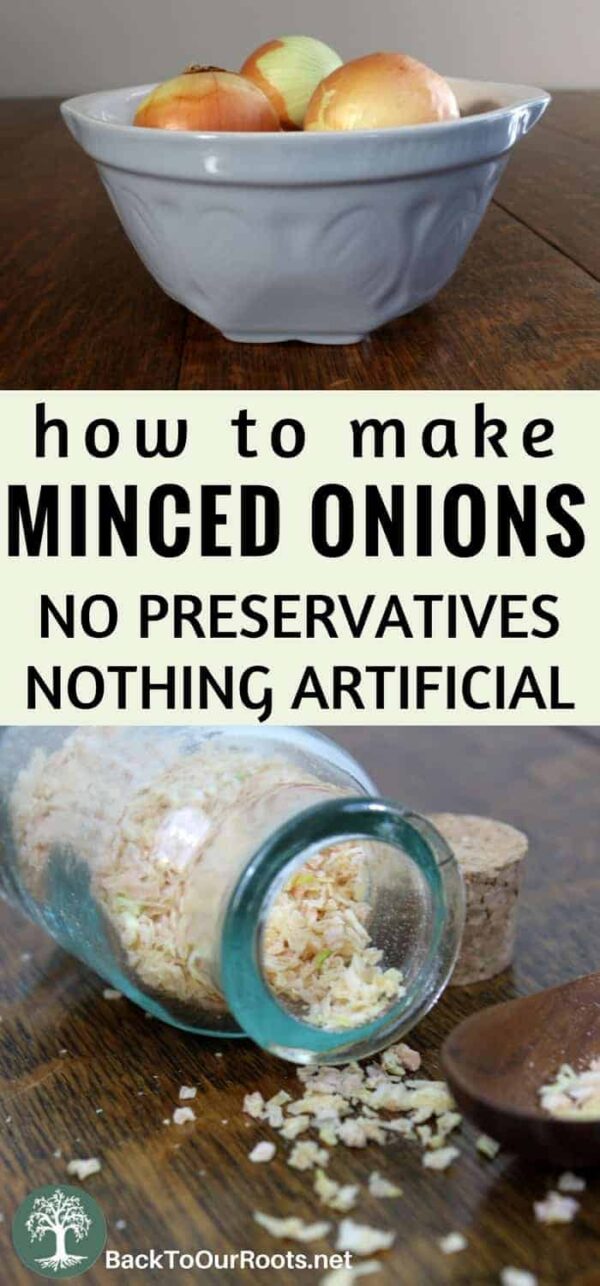 How to Make Better for You Minced Onions at Home Back to Our Roots
