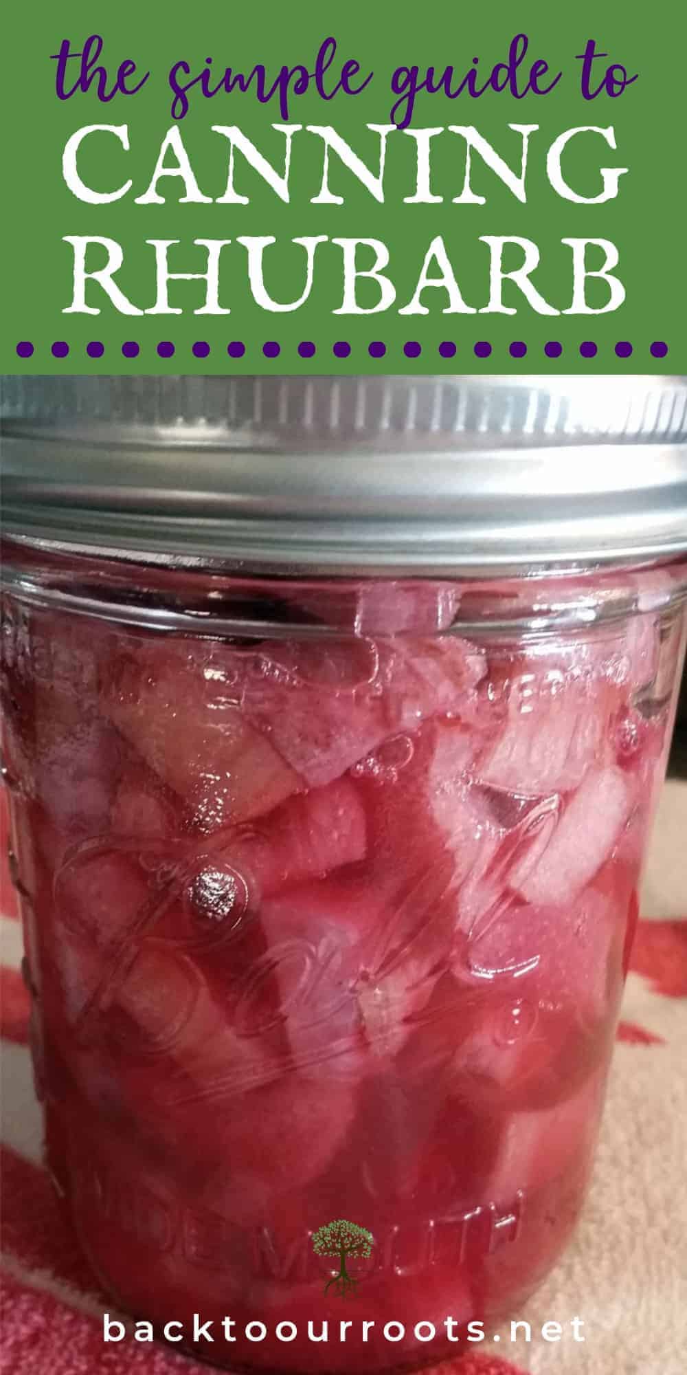 How to Easily Can Rhubarb at Home