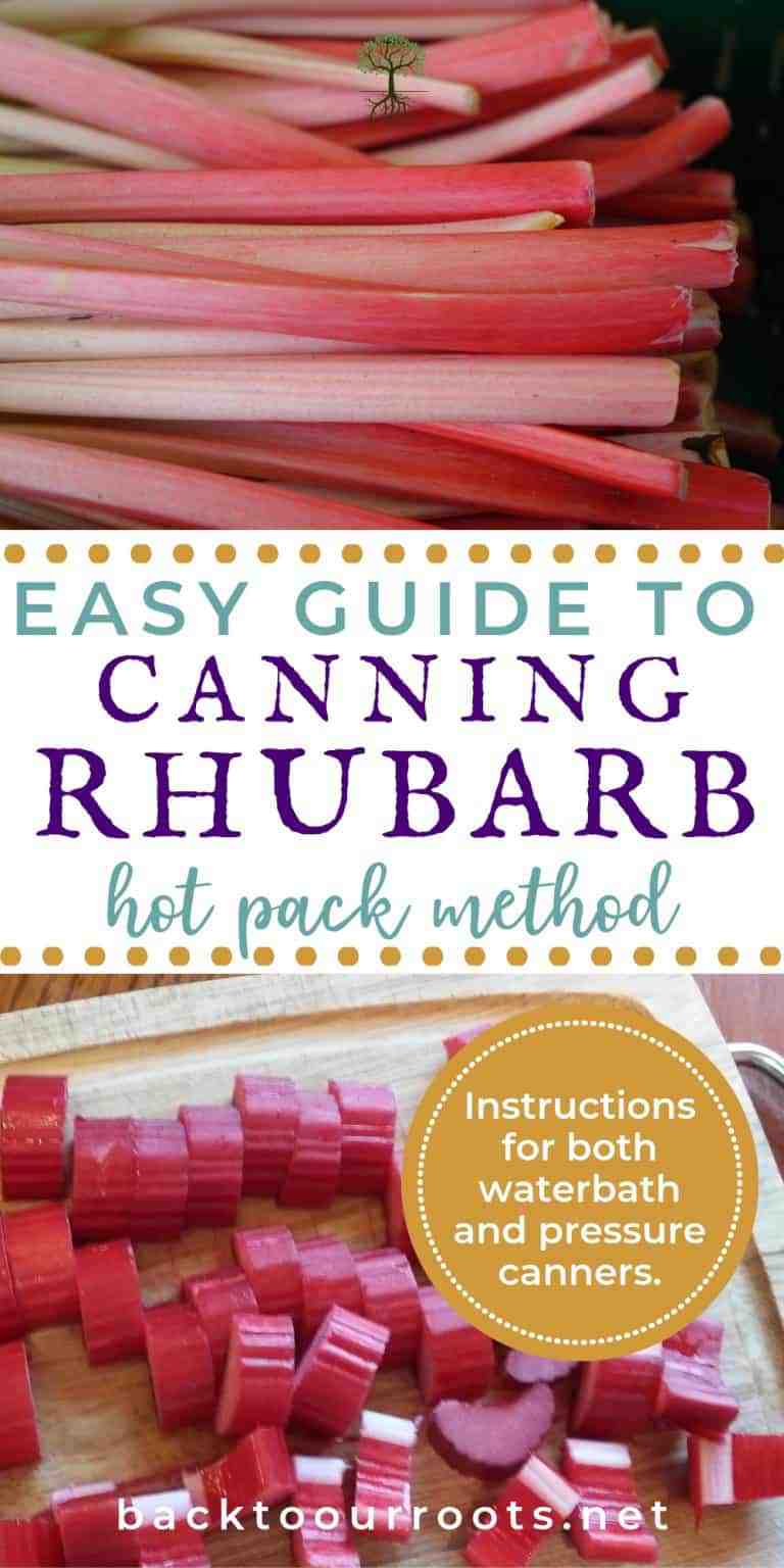 How to Easily Can Rhubarb at Home