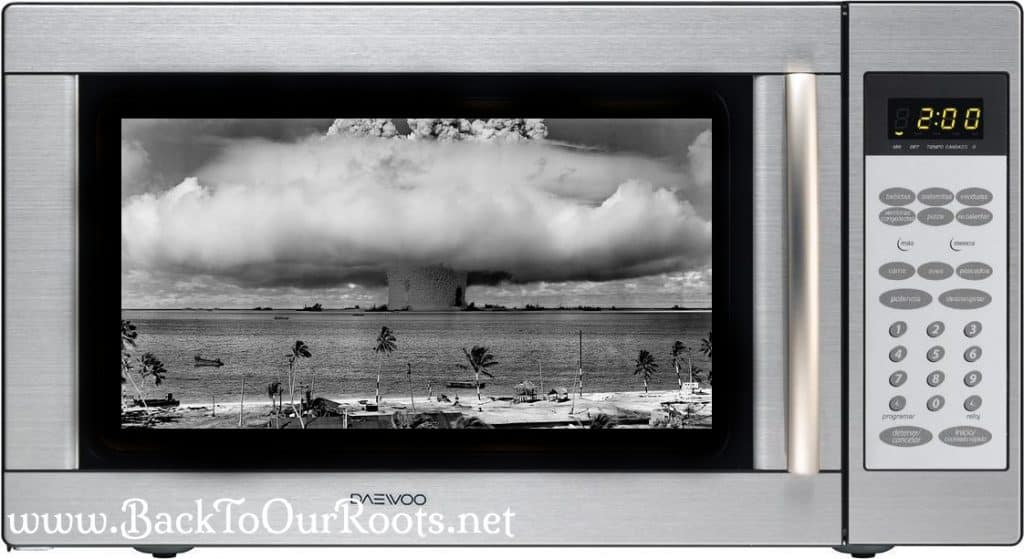 Microwave Ovens Do They Fit in a Traditional Food Kitchen?