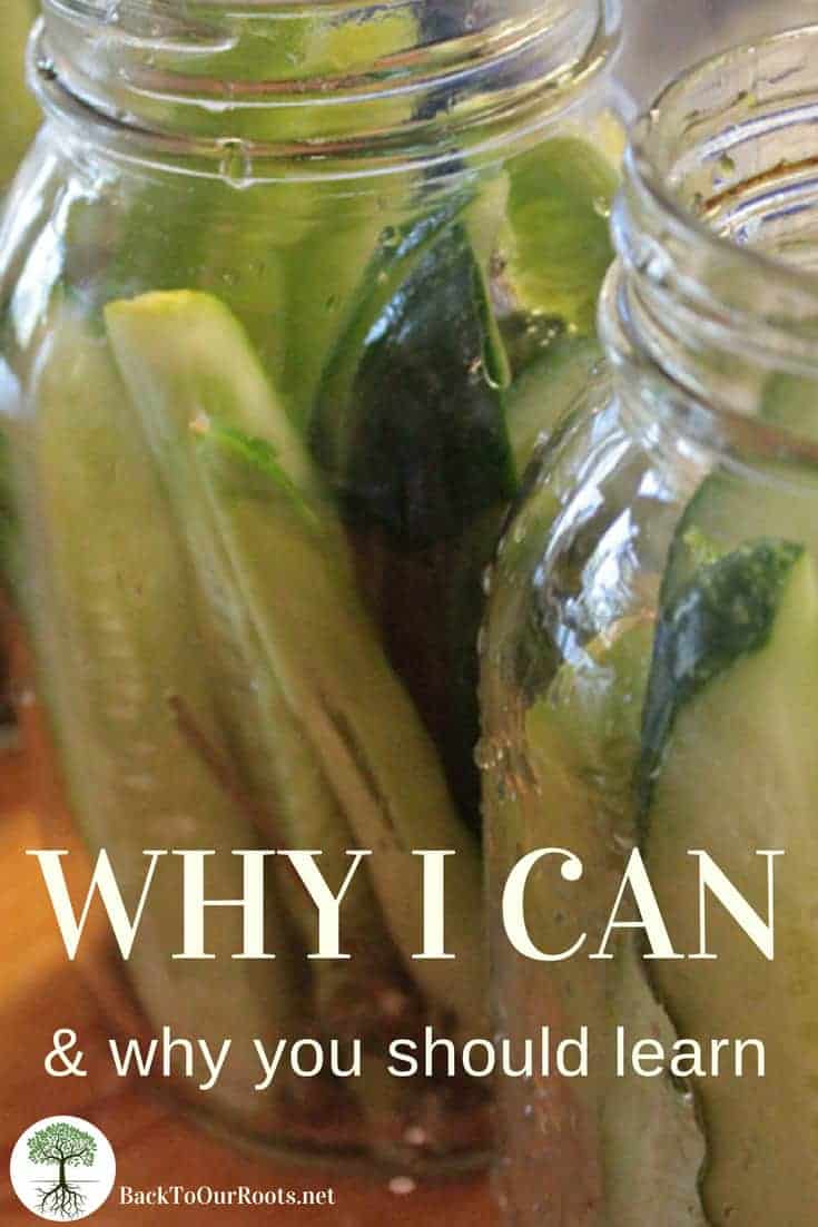 Why I Can & Dehydrate Food