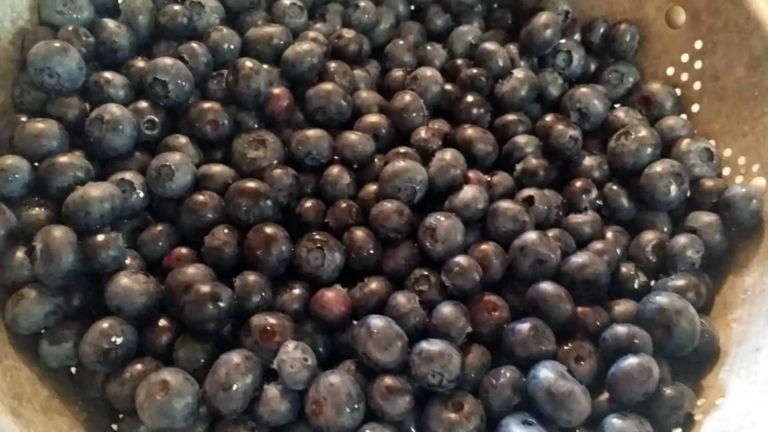 Blueberries in strainer for canning