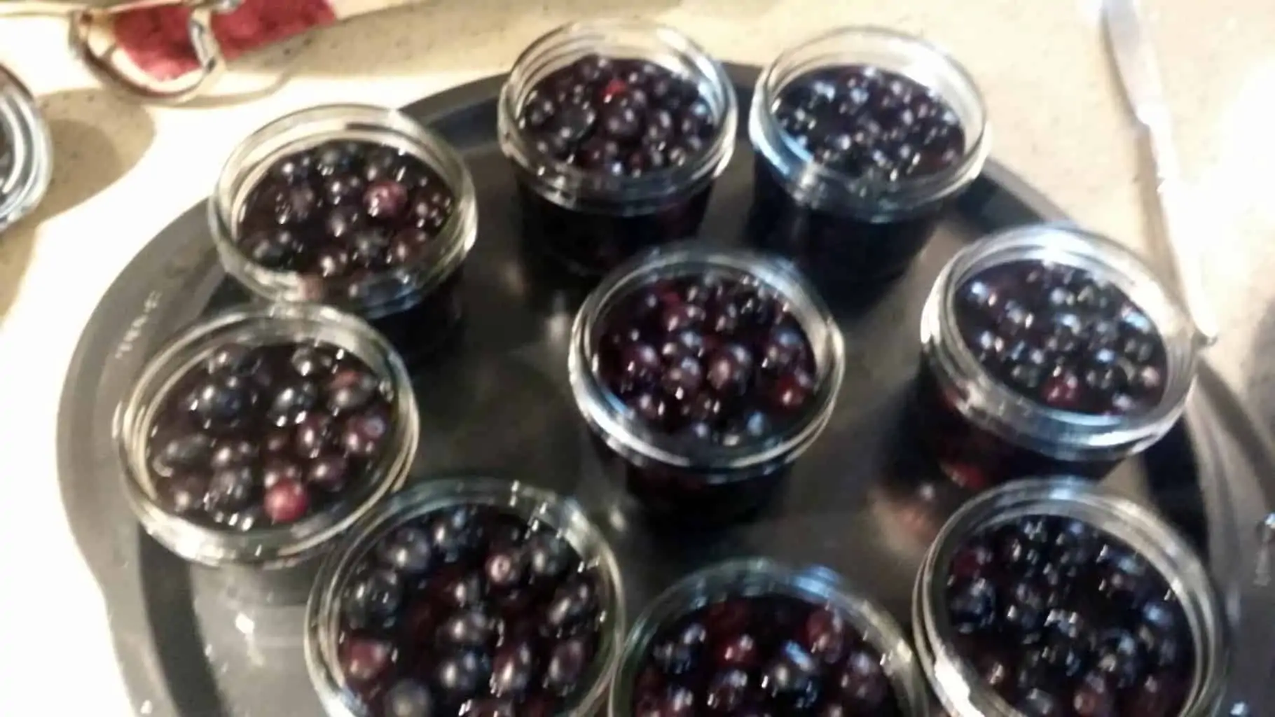 Blueberries in half pint canning jars