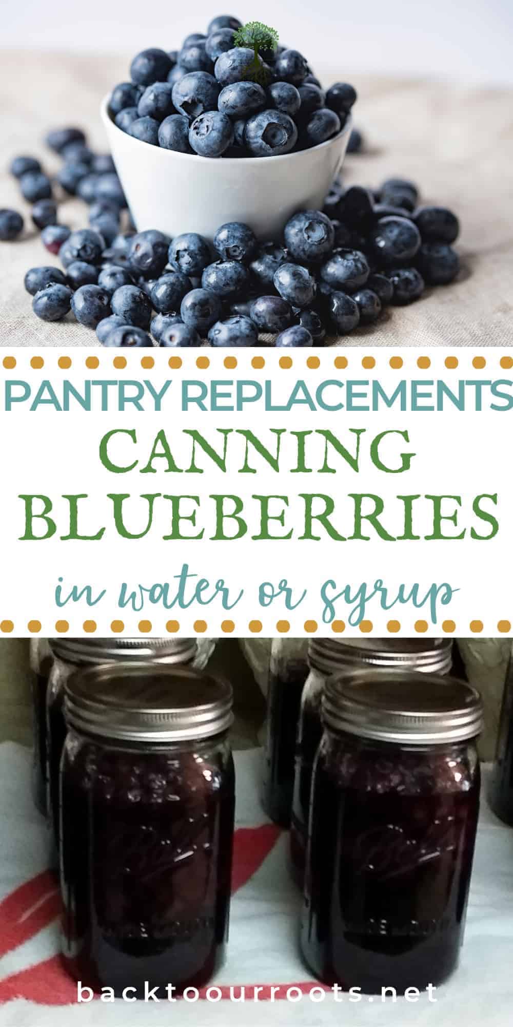 Canning Blueberries ~ Amazing Blueberry Goodness in a Jar