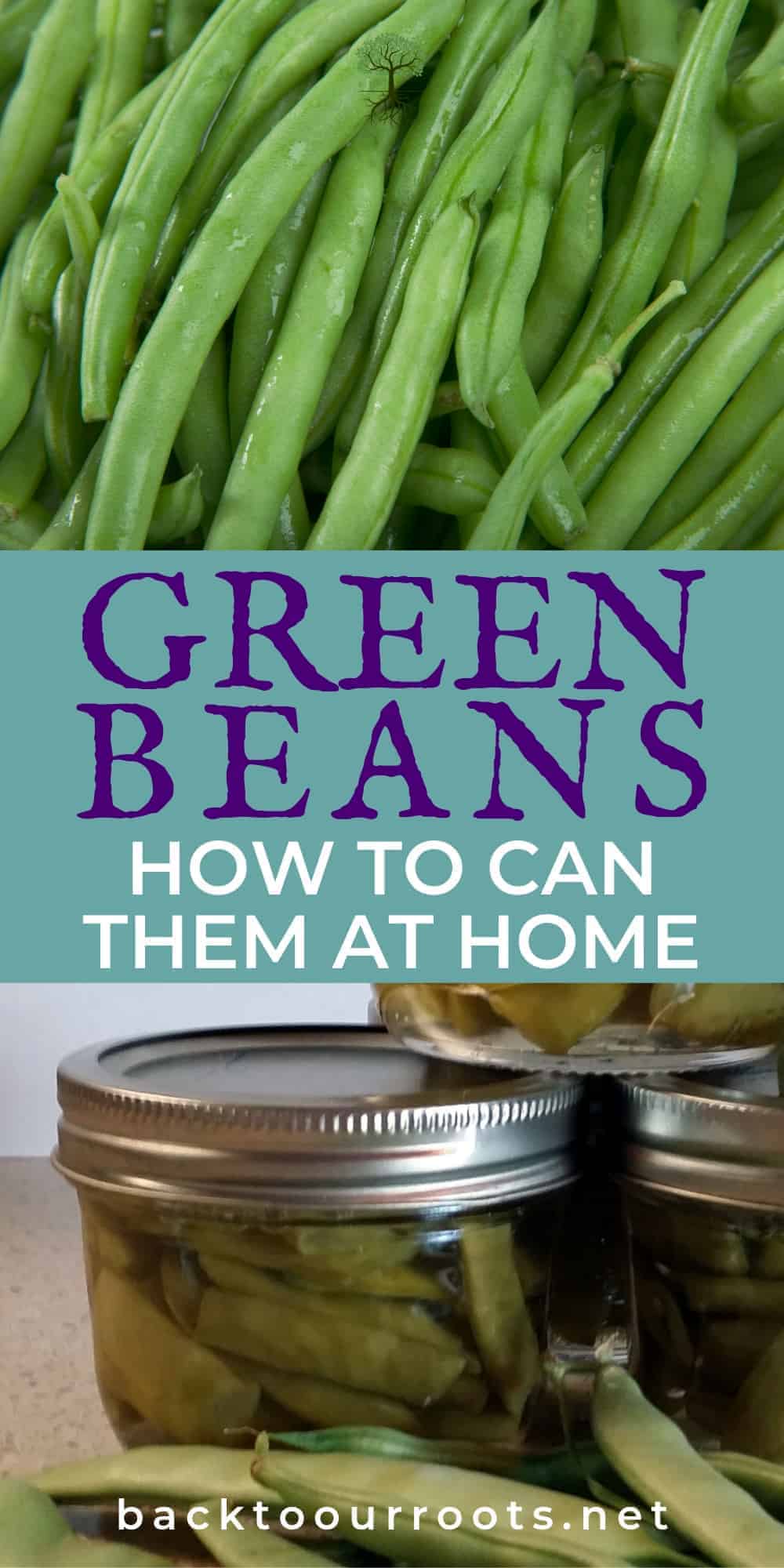 How to Can Green Beans