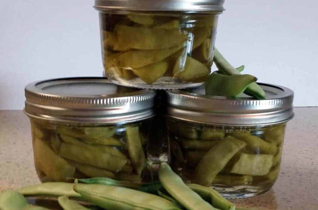 How to Can Green Beans {Easy Step by Step}