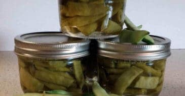 How to Can Green Beans