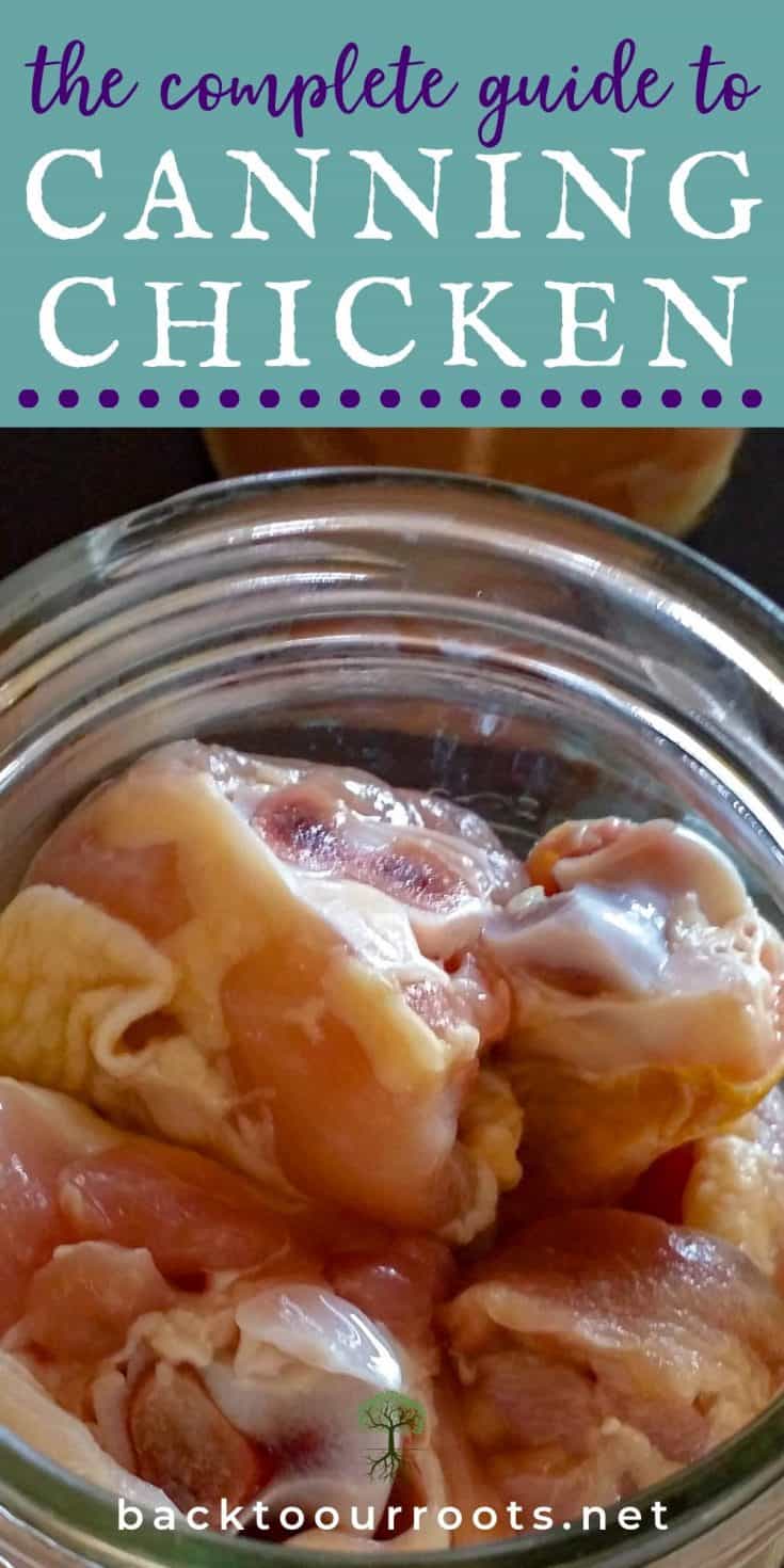 How to Pressure Can Chicken at Home Easily and Safely