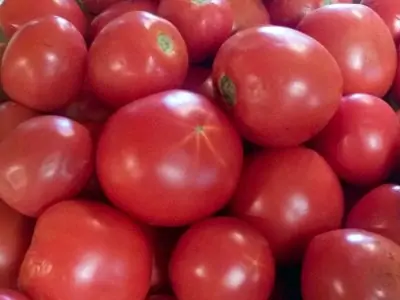 How to Can Tomatoes 2 Ways