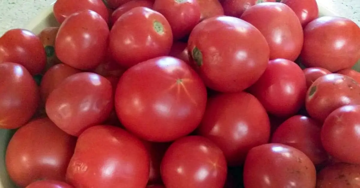 Canning Tomatoes: Two Easy Ways You Can Do It Today
