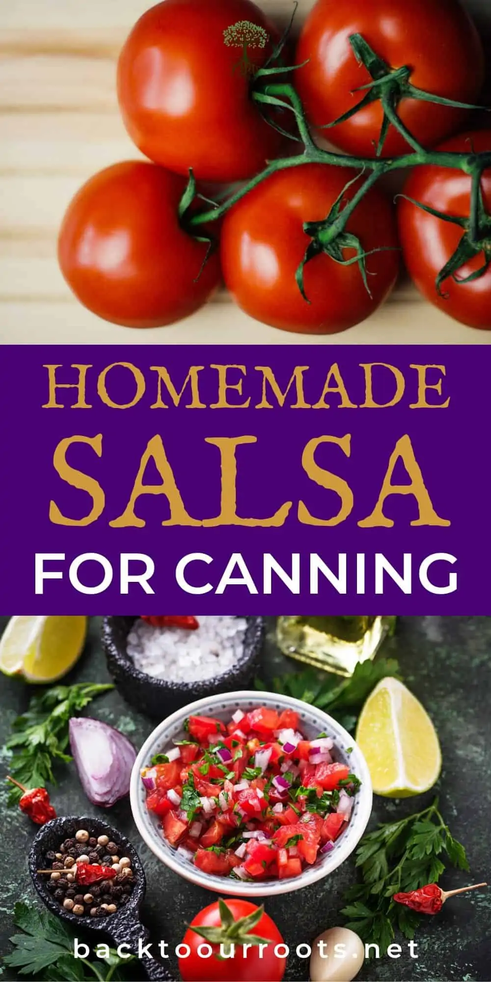 Canning Salsa