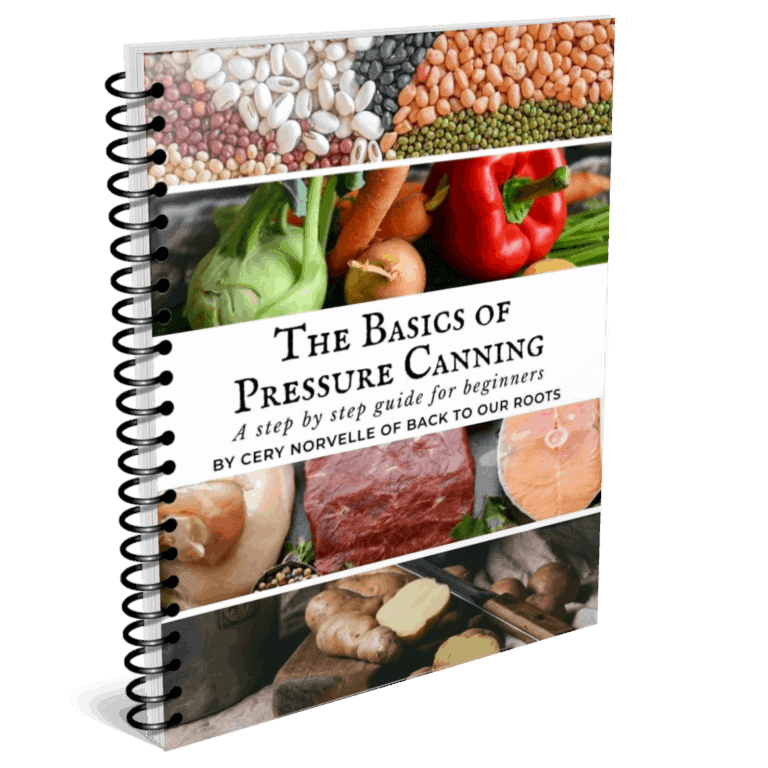 Pressure Canning Basics