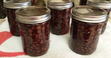 Pint jars of home canned black beans on kitchen cabinet