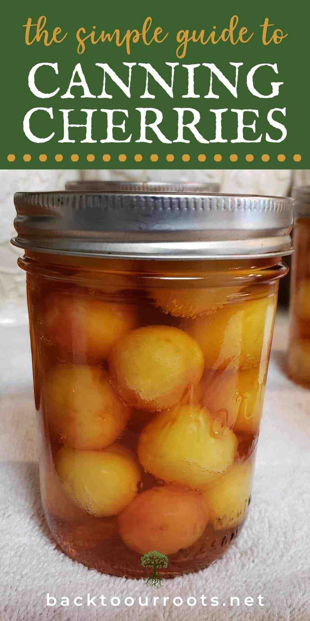 Waterbath Canning Cherries {in Cinnamon Apple Cider}