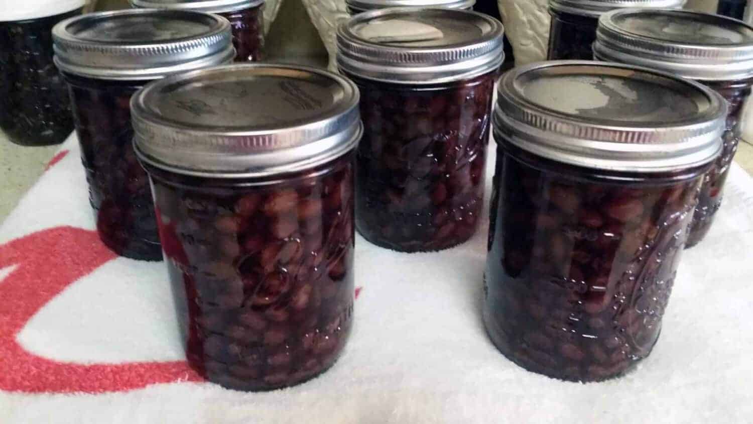 home canned black beans cooling on counter
