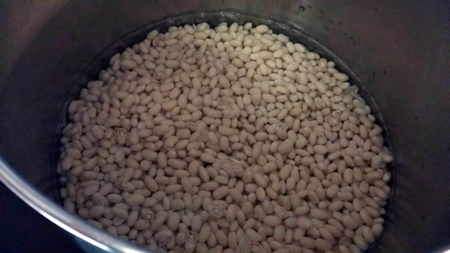 navy beans and water in large pot