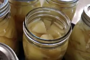 cut up potatoes in quart canning jar with water